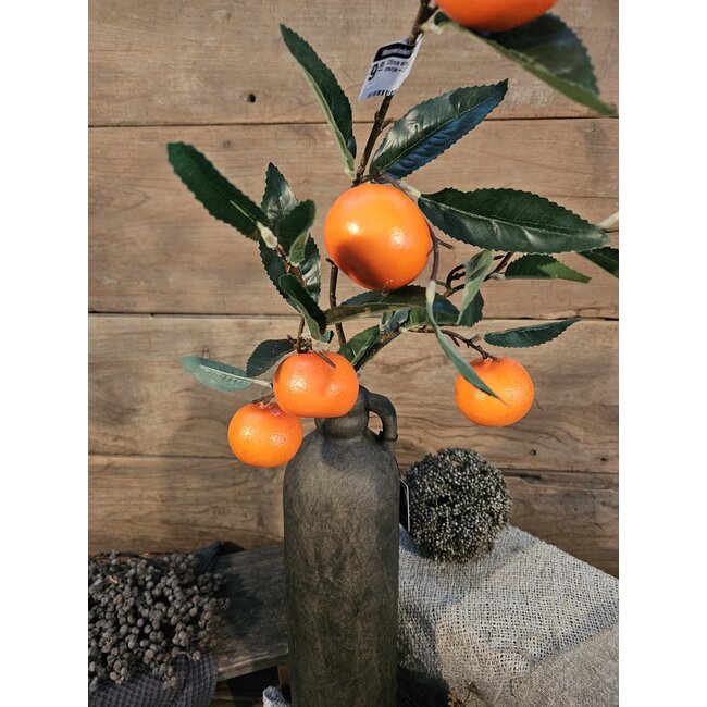 Countryfield Citrus sinensis oranje-L9B9H90CM