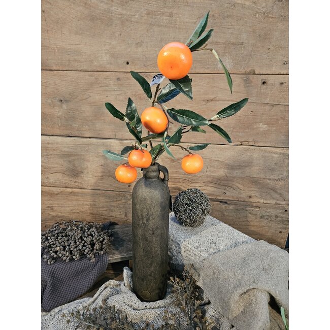 Countryfield Citrus sinensis oranje-L9B9H90CM