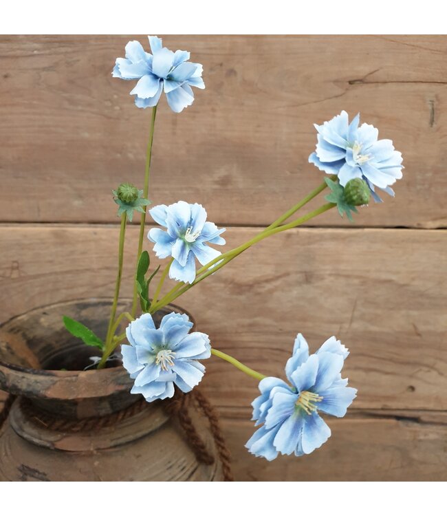 # Centaura blue 64 cm