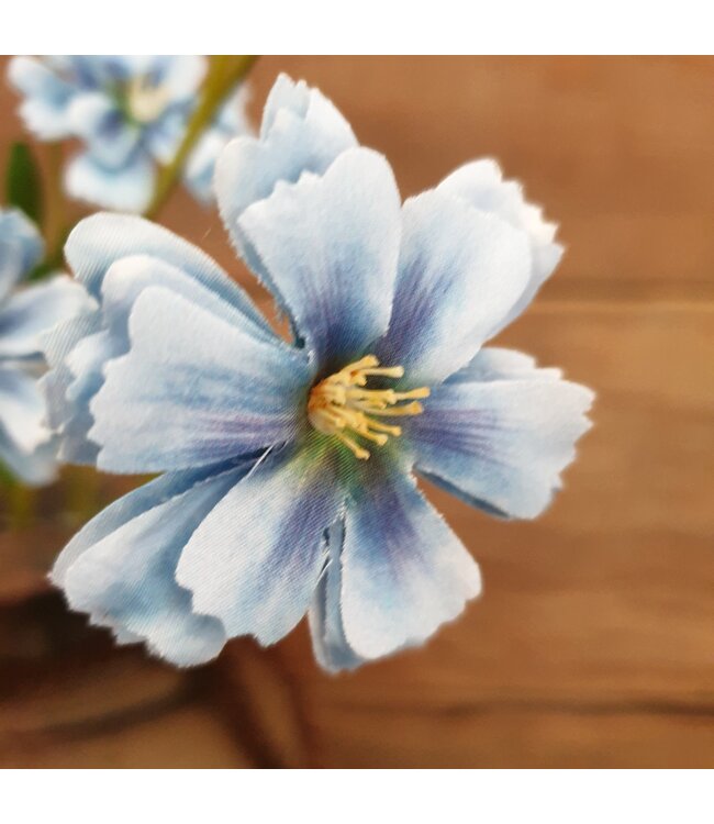 # Centaura blue 64 cm