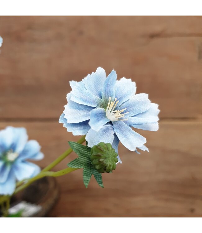 # Centaura blue 64 cm
