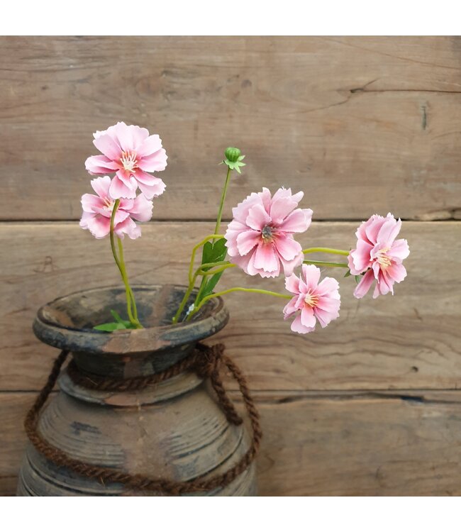 Centaura pink 64 cm
