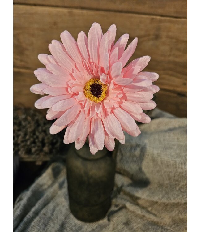 Lichtroze gerbera 58 cm