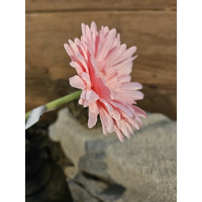 ## Lichtroze gerbera 58 cm