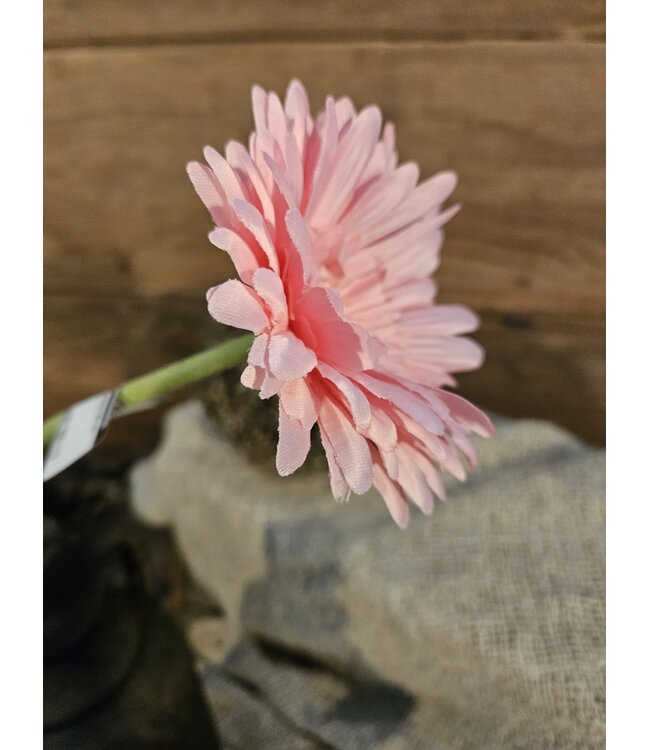 Lichtroze gerbera 58 cm