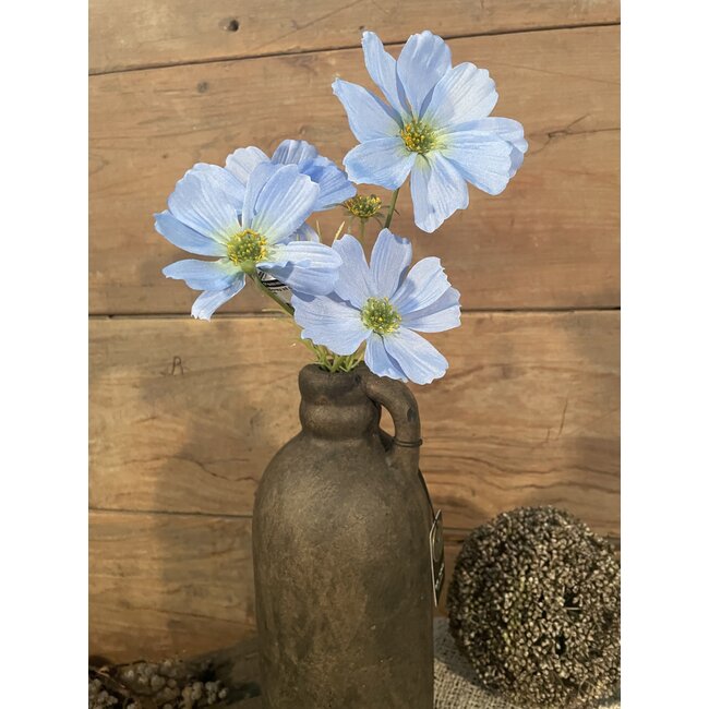 ## Cosmos Spray x4 67cm - lichtblauw