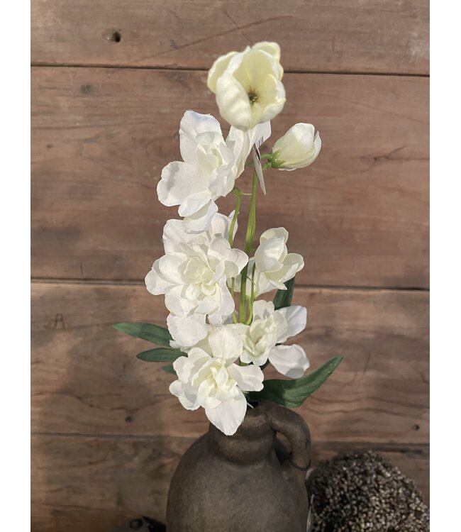 # Ridderspoor - wit - 50 cm