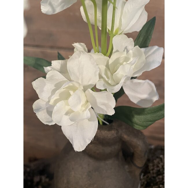 ## Ridderspoor - wit - 50 cm