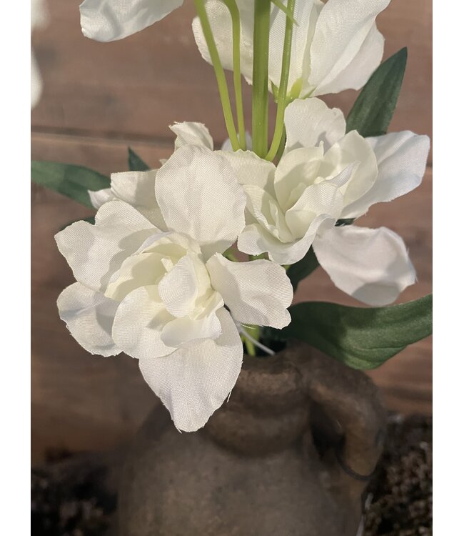 # Ridderspoor - wit - 50 cm