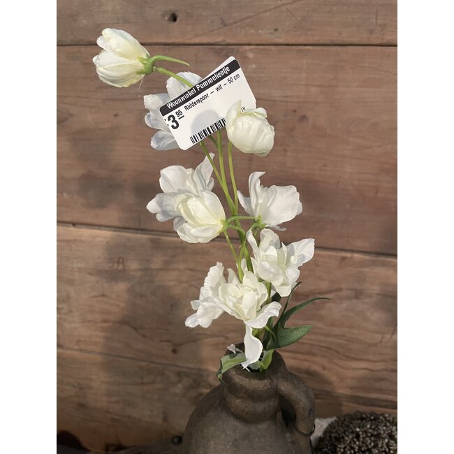 ## Ridderspoor - wit - 50 cm