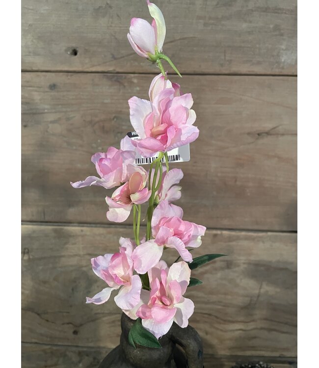 Countryfield ### Ridderspoor - roze - 50 cm