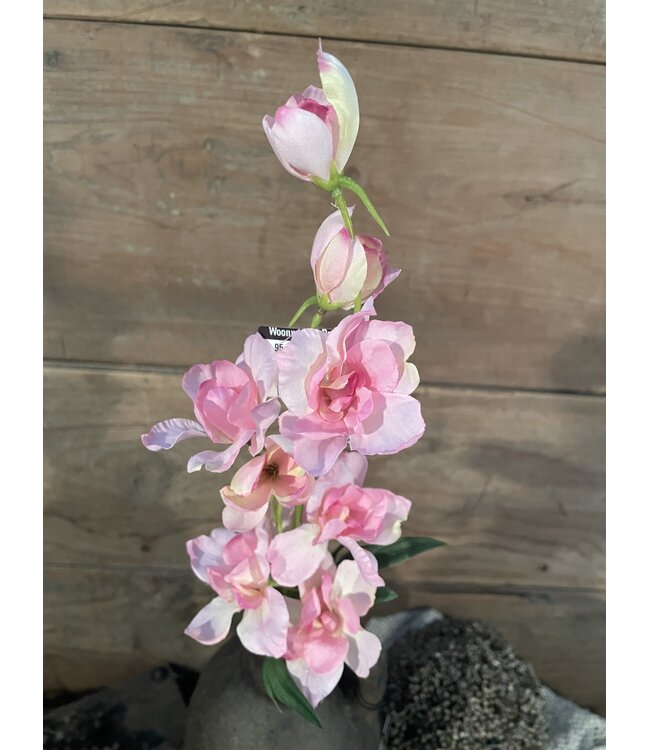 Countryfield ### Ridderspoor - roze - 50 cm