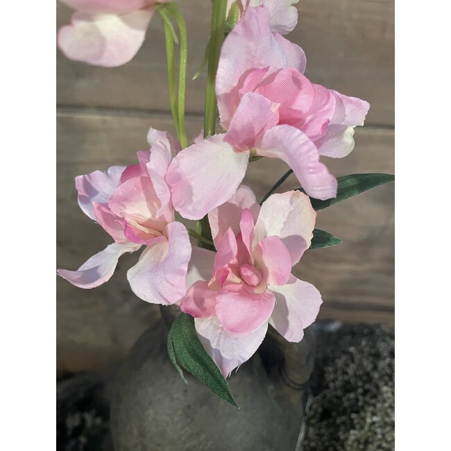Countryfield ## Ridderspoor - roze - 50 cm