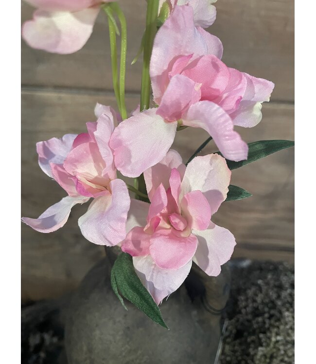 Countryfield ### Ridderspoor - roze - 50 cm