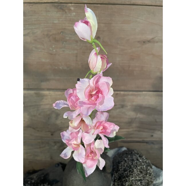Countryfield ## Ridderspoor - roze - 50 cm