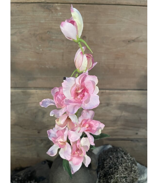 Countryfield ### Ridderspoor - roze - 50 cm