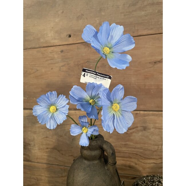 ## Cosmos Spray x5 77cm - lichtblauw