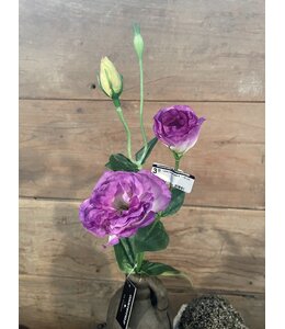Countryfield # Lysianthus paars - 60 cm