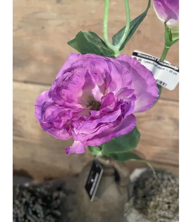 Countryfield # Lysianthus paars - 60 cm