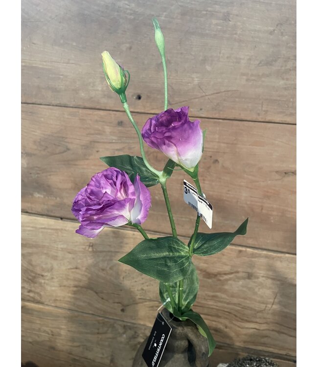 Countryfield # Lysianthus paars - 60 cm