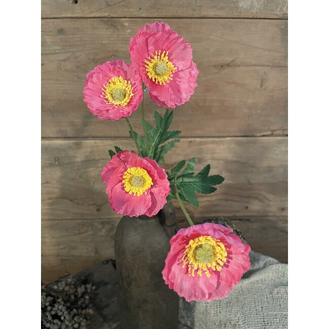 ## Felroze klaproos - poppy pink - 59 cm