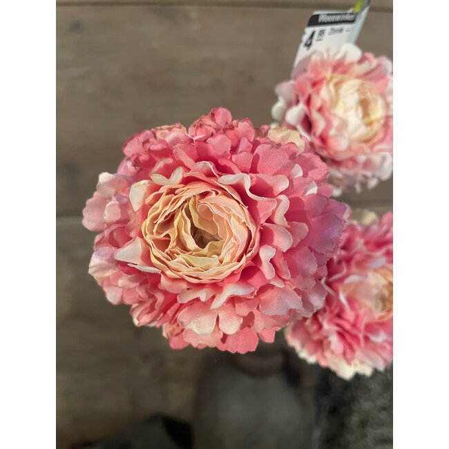 ## Zinnia - roze - 61 cm