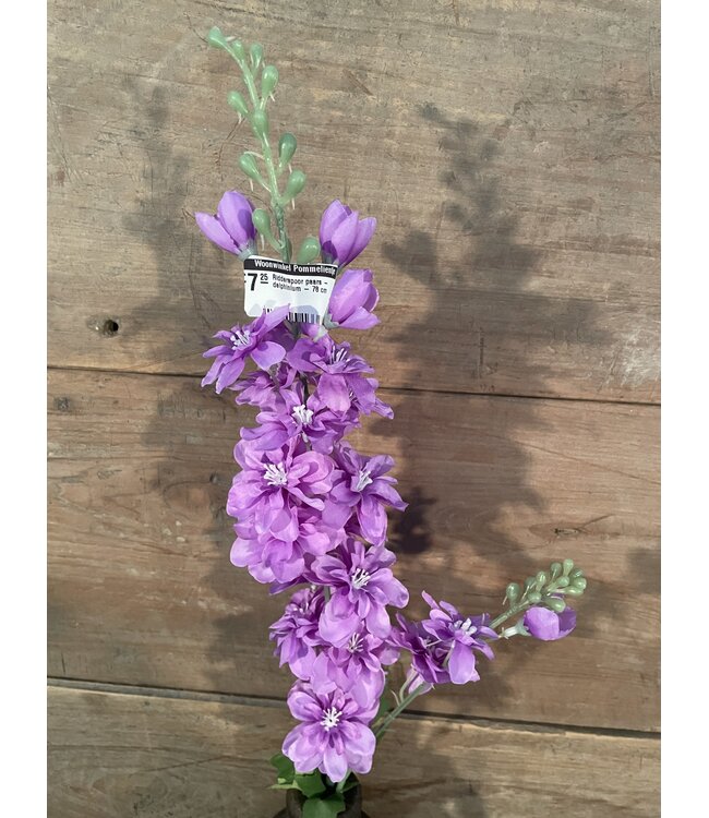 # Ridderspoor paars - delphinium - 78 cm