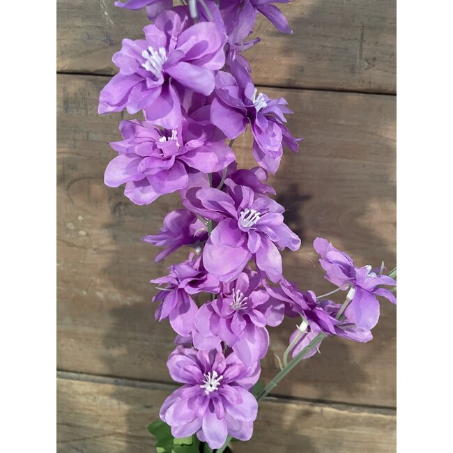 ## Ridderspoor paars - delphinium - 78 cm