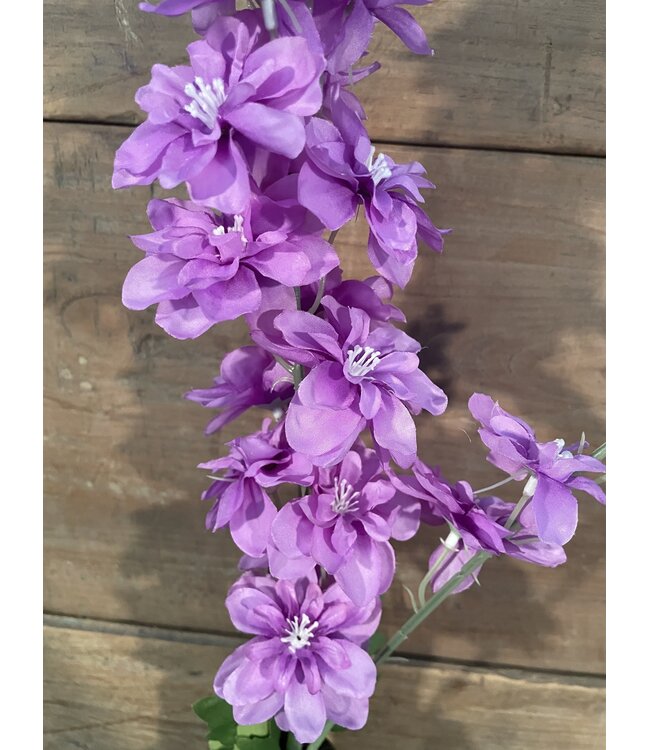 # Ridderspoor paars - delphinium - 78 cm