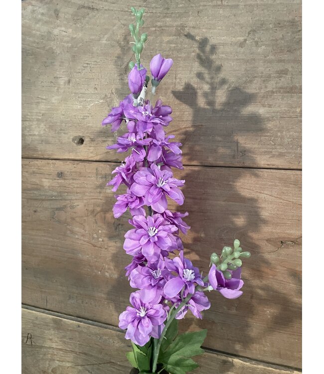 # Ridderspoor paars - delphinium - 78 cm