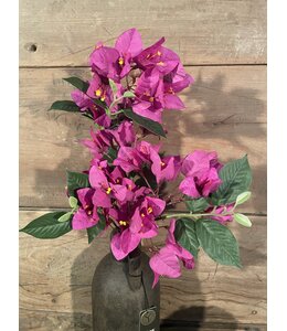 Bougainvillea - fuchsia - 76 cm