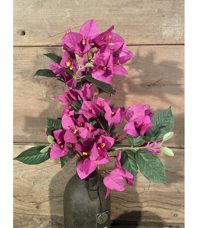 Bougainvillea - fuchsia - 76 cm