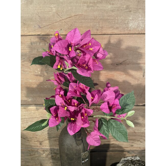 ## Bougainvillea - fuchsia - 76 cm