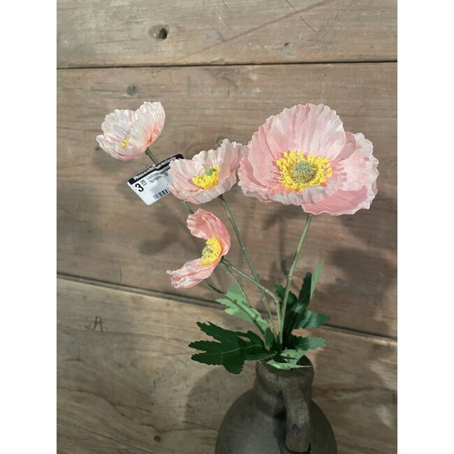 ## Lichtroze klaproos - poppy lightpink - 59 cm