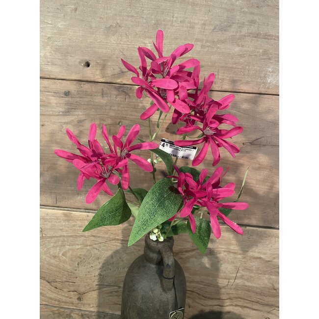 ## Kamperfoelie fuchsiaroze - Honeysuckle 75 cm