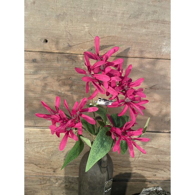 ## Kamperfoelie fuchsiaroze - Honeysuckle 75 cm