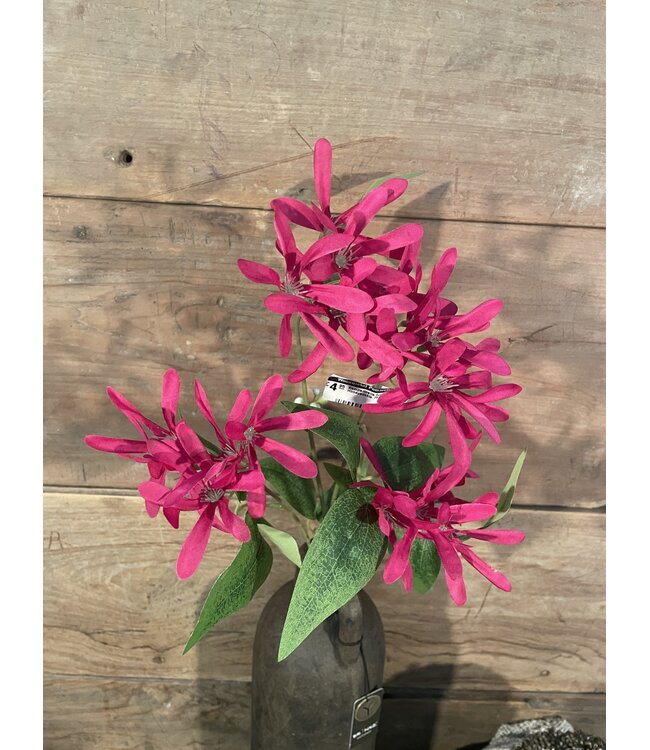 Kamperfoelie fuchsiaroze - Honeysuckle 75 cm