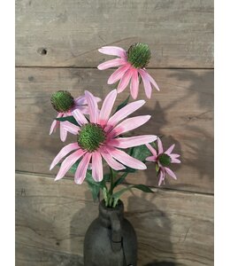Zonnehoed roze 73cm - rudbeckia
