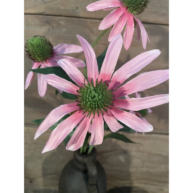 ## Zonnehoed roze 73cm - rudbeckia