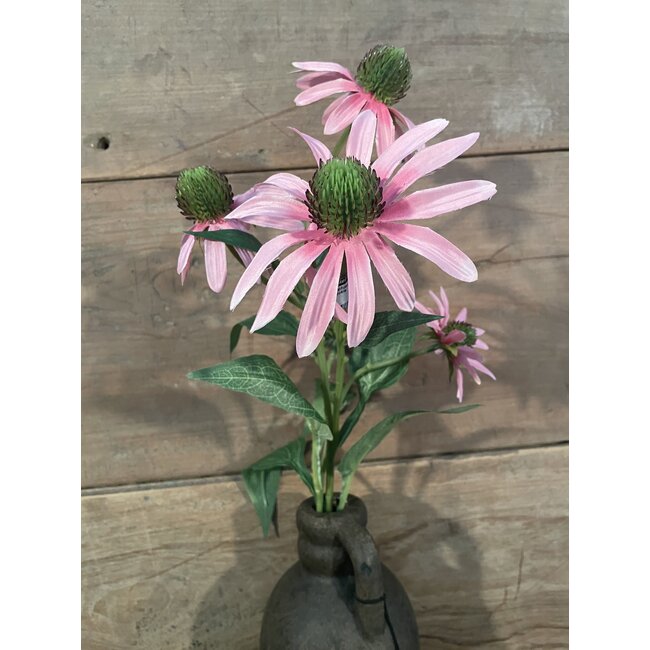 ## Zonnehoed roze 73cm - rudbeckia