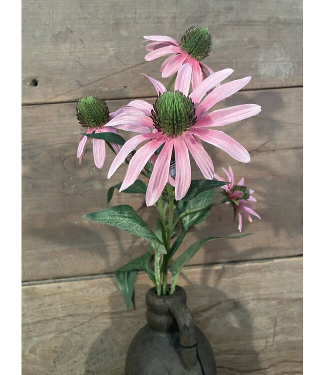 Zonnehoed roze 73cm - rudbeckia