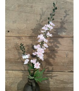 # ridderspoor roze/groen delphium - 78 cm