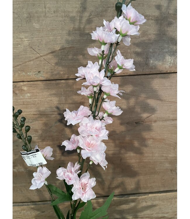 # ridderspoor roze/groen delphium - 78 cm