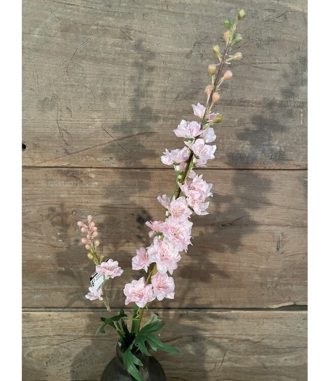 # Ridderspoor lichtroze - delphinium - 78 cm