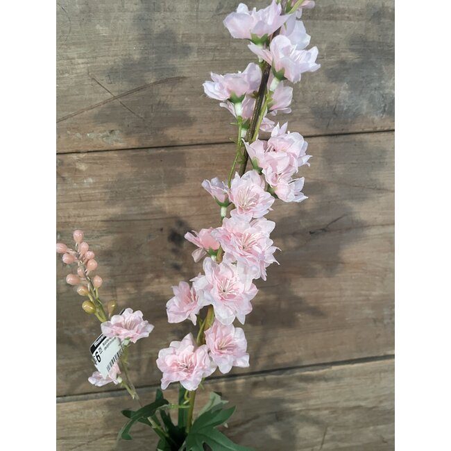 ## Ridderspoor lichtroze - delphinium - 78 cm