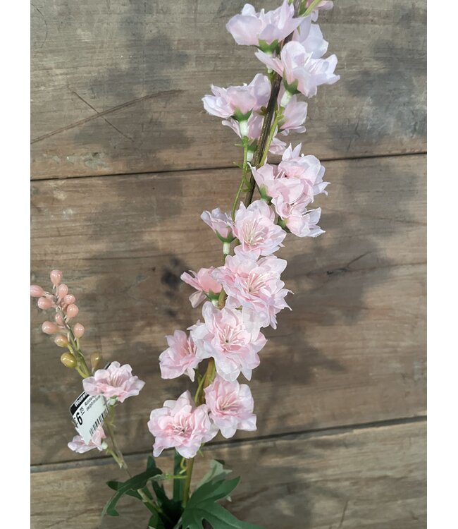 # Ridderspoor lichtroze - delphinium - 78 cm