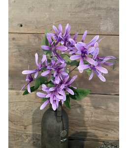 # Kamperfoelie paars - Honeysuckle 75 cm