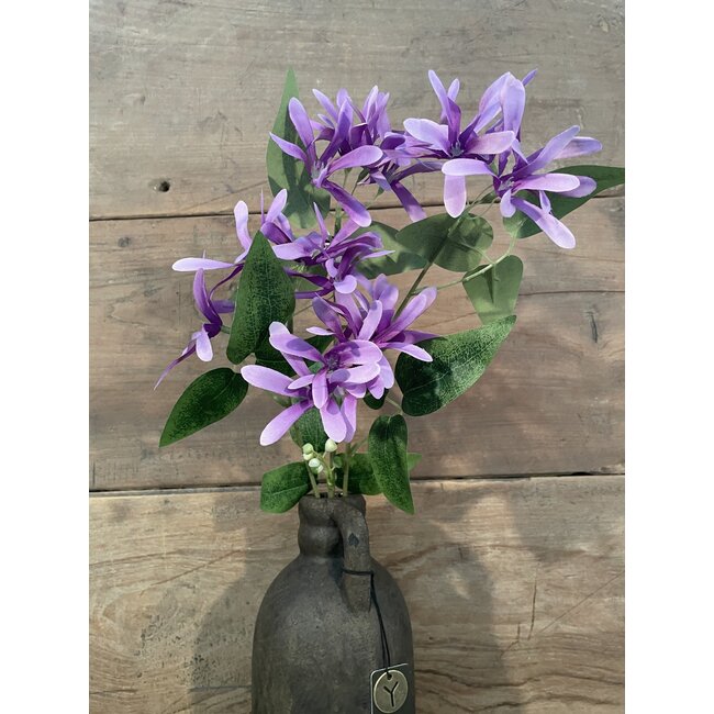 ## Kamperfoelie paars - Honeysuckle 75 cm