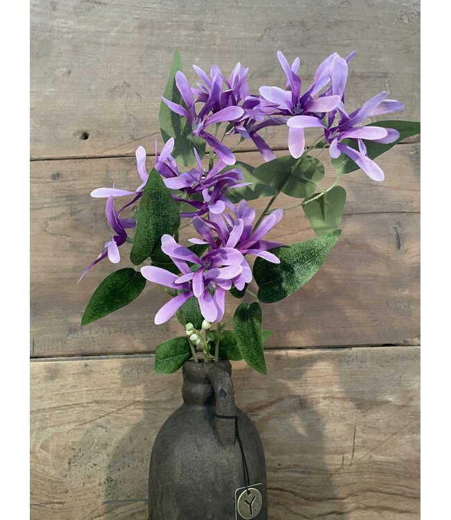 # Kamperfoelie paars - Honeysuckle 75 cm