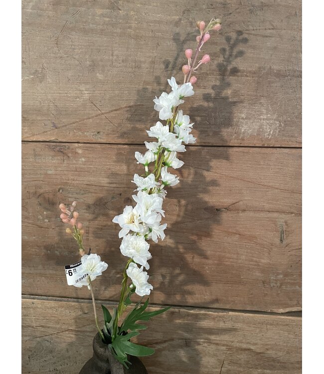 ### Ridderspoor wit - delphinium - 78 cm